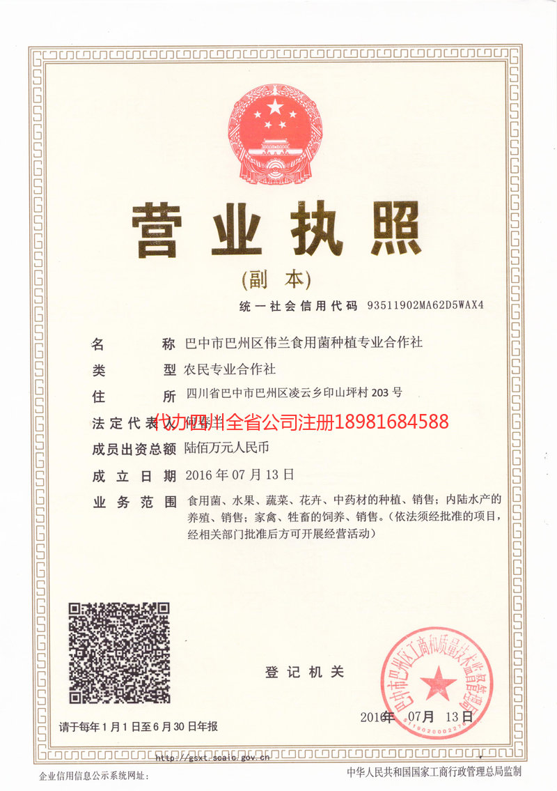 江门江门伟兰食用菌种植专业合作社